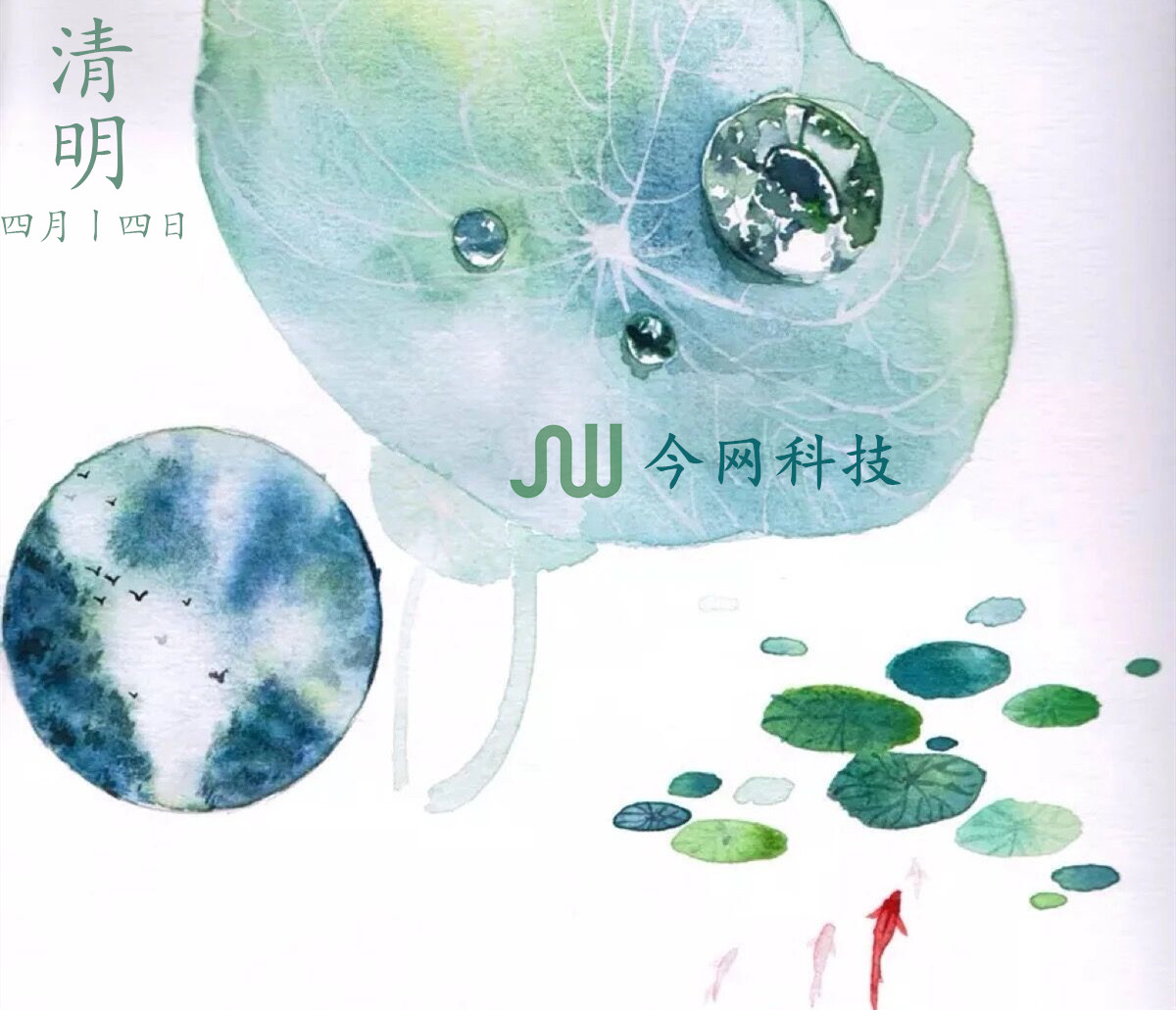 1585636758479460.jpg 官網(wǎng)專用.jpg