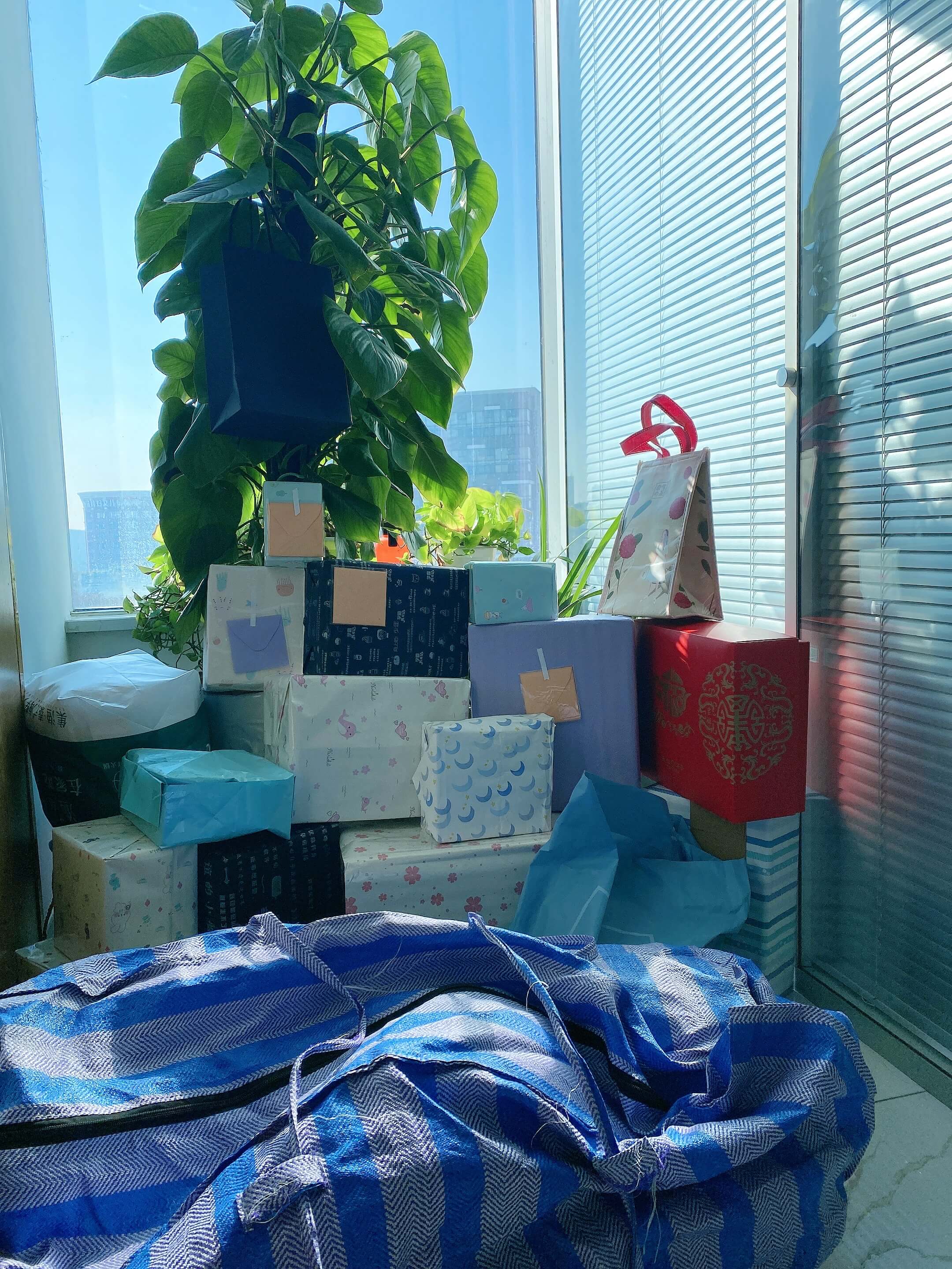 1611129257371014.jpg 1611129257371014.jpg