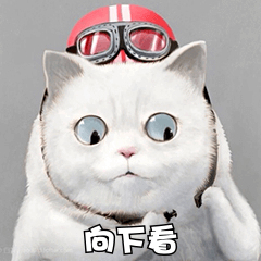 1611129286415565.jpg 2 (2).jpg