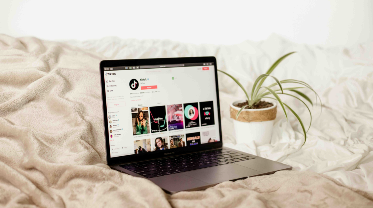 1735186173324464.png wanzhan06.png